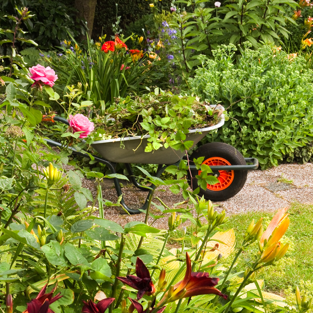 i ponownie zarośla, sporo pracy aby utrzymać je w kondycji