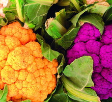 Kolorowe kalafiory cieszą zarówno oko, jak i podniebienie