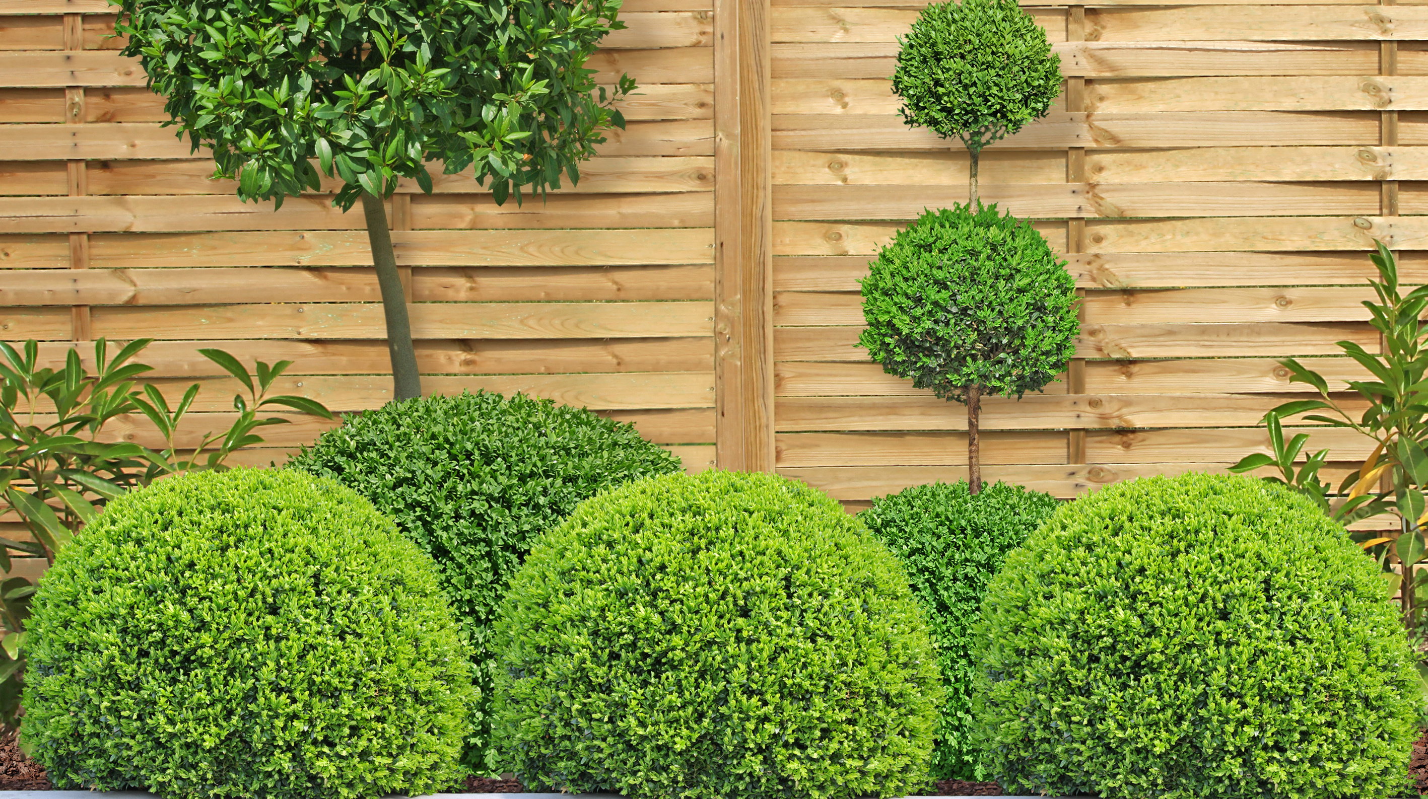 Kwiecień to czas na sadzenie drzew i krzewów ozdobnych.