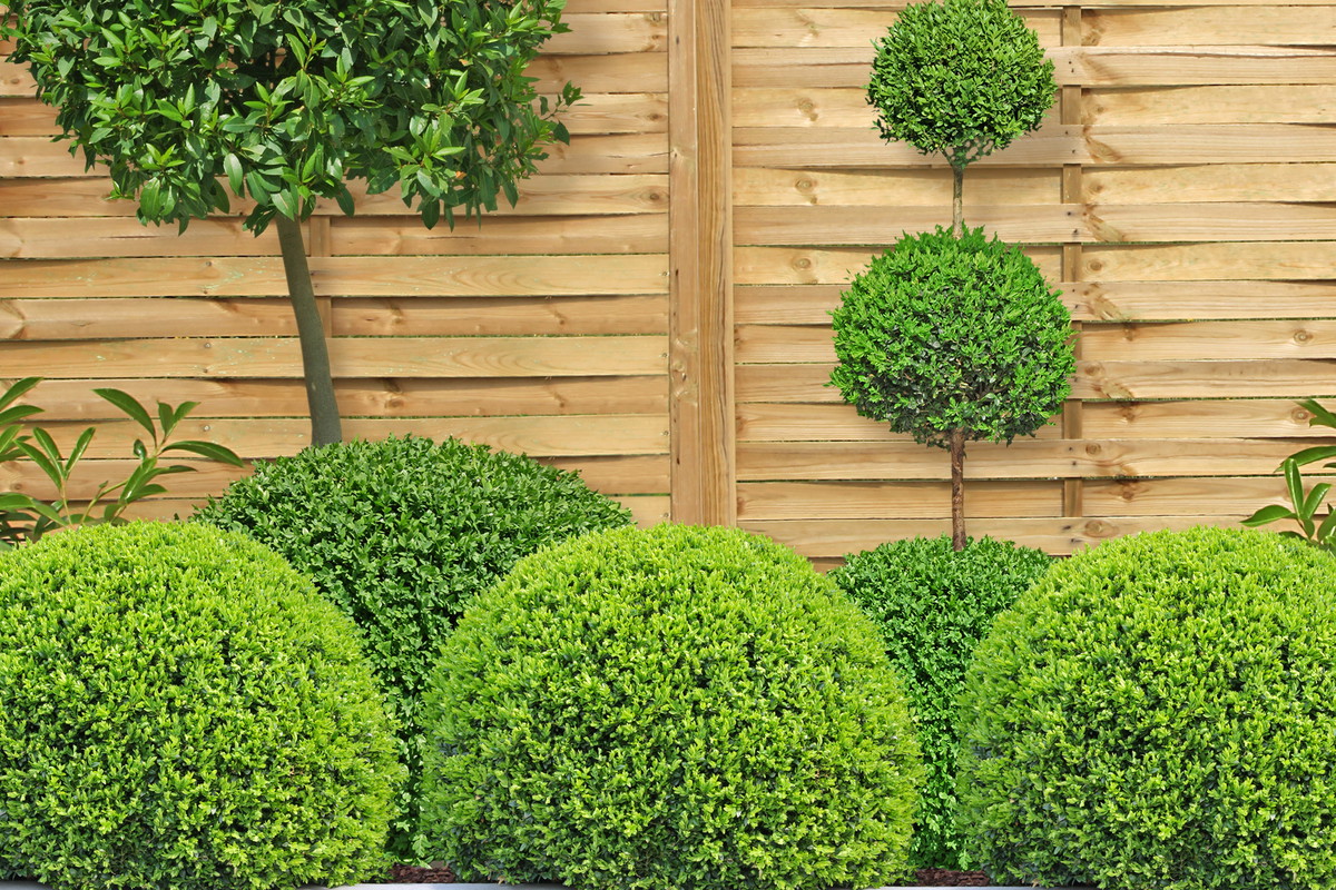 Kwiecień to czas na sadzenie drzew i krzewów ozdobnych.