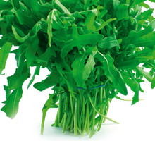 Liście rukoli zawierają witaminy, sole mineralne, dużo potasu, kwasy organiczne i olejki eteryczne