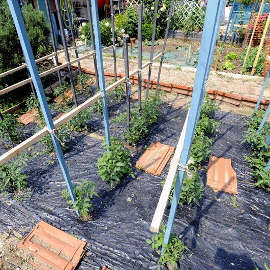 lubię aby wokół roślin było zadbane