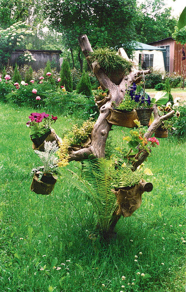 „Na konarze drzewa wiszą kwiaty doniczkowe. Zrobiłam im osłonki z juty”, pisze Anna Kaczmarska.