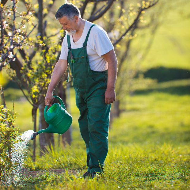 Niech rośnie, teraz tylko doglądać...