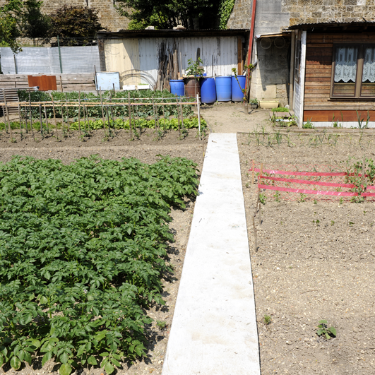 ogródek - miejsce mojej ucieczki od codzienności