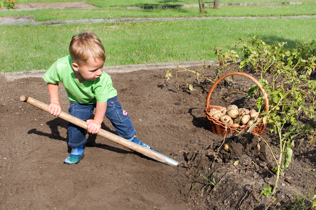 ogrodnik i poszukiwacz skarbów