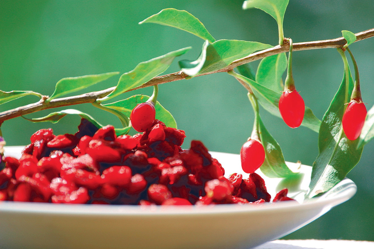 Owoce goi zawierają wiele cennych dla zdrowia substancji