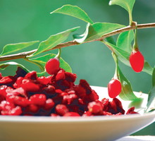 Owoce goi zawierają wiele cennych dla zdrowia substancji