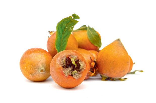 Owoce nieszpułki są cennym źródłem witaminy C