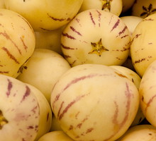 Owoce psianki melonowej są idealnym składnikiem owocowych sałatek. Można je też dusić lub smażyć