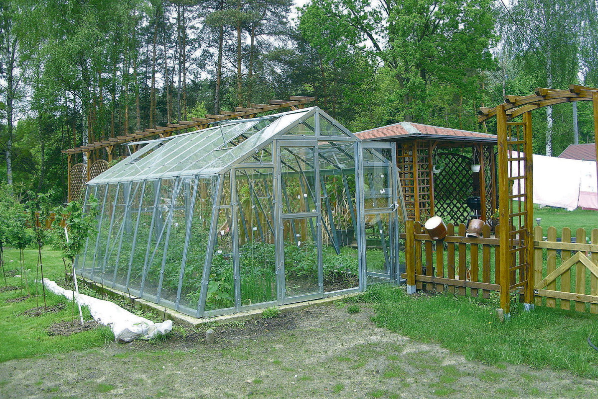 „Pod szkłem umieszczam nie tylko rozsady, lecz także niektóre rośliny ciepłolubne”, pisze nasza czytelniczka Halina Ryfczyńska