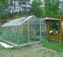 „Pod szkłem umieszczam nie tylko rozsady, lecz także niektóre rośliny ciepłolubne”, pisze nasza czytelniczka Halina Ryfczyńska