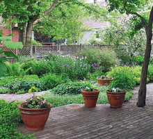 „Podest z drzewa cedrowego ma tę zaletę, że nie wymaga specjalnej konserwacji”, pisze w liście nasza czytelniczka. Zdjęcia: Iza Sadokierska.