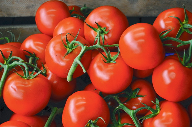 Pomidory szklarniowe