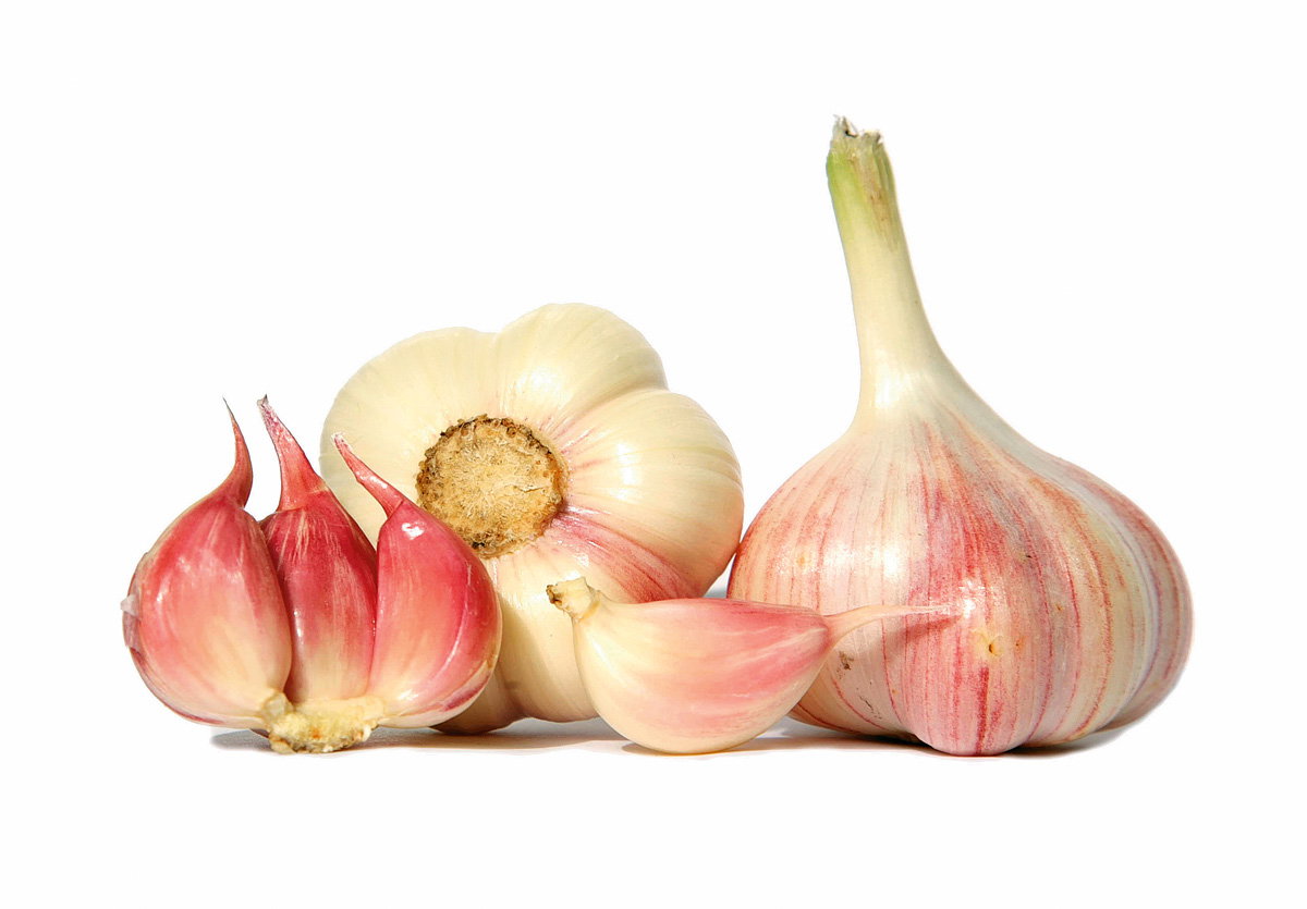 Profilaktycznie należy jeść jeden ząbek czosnku dziennie. Wtedy na pewno nie zaatakuje nas żadna grypa