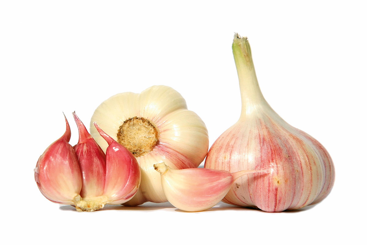 Profilaktycznie należy jeść jeden ząbek czosnku dziennie. Wtedy na pewno nie zaatakuje nas żadna grypa