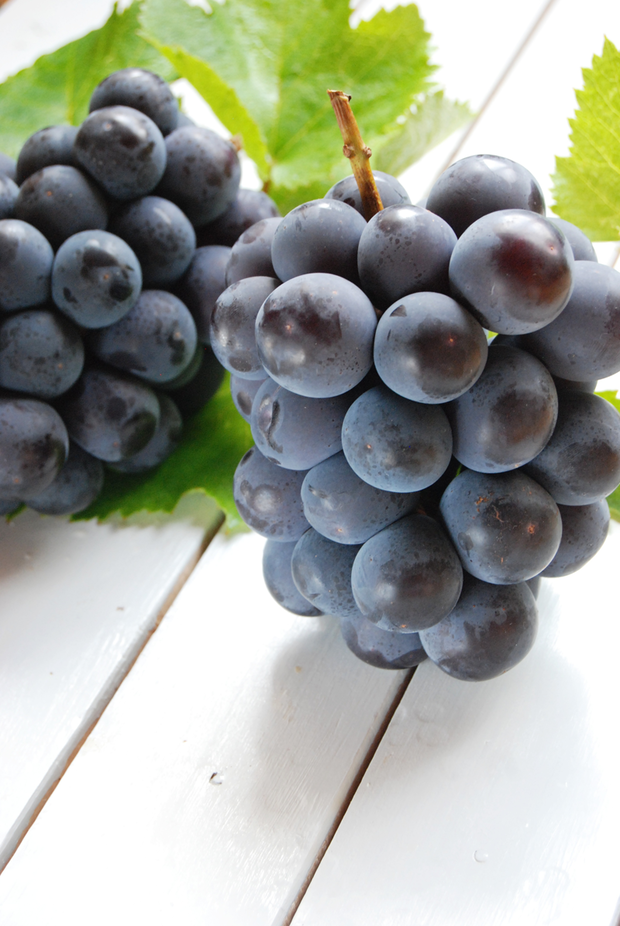 Są winogrona, będzie wino