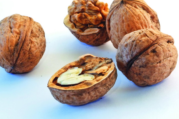 Smaczne orzechy zawierają wiele cennych witamin, a ponadto znaczne ilości soli mineralnych