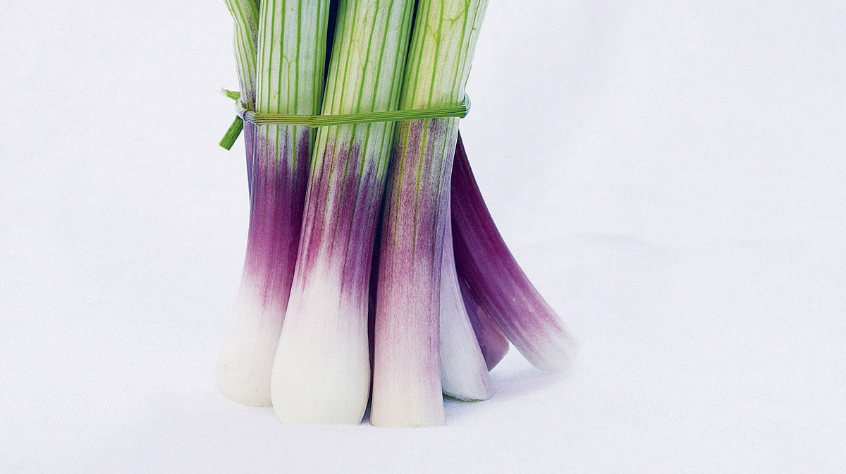 Smaczny szczypior tej cebuli doskonale nadaje się do sałatek