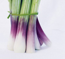 Smaczny szczypior tej cebuli doskonale nadaje się do sałatek