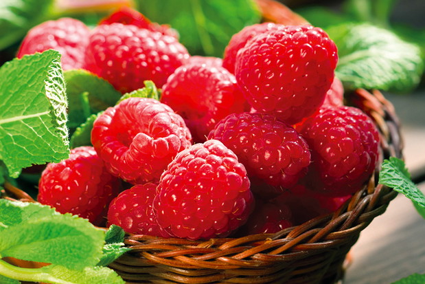 Soczyste i aromatyczne owoce malin neutralizują działanie wolnych rodników i zapobiegają przedwczesnemu starzeniu się skóry