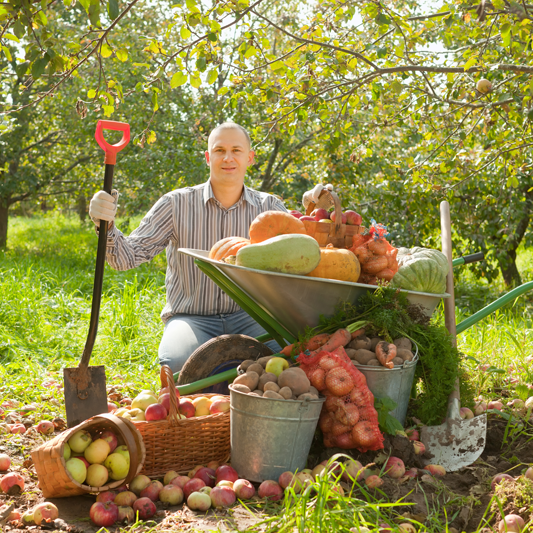 To zdjęcie z konkursu, niektóre warzywa oczywiście dokupiliśmy ;)