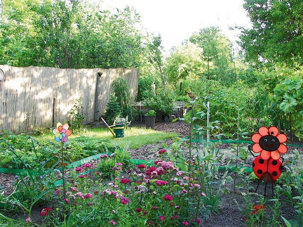 "Trzcinowe maty na początku i na końcu mają ok. 5-centymetrowe zakończenia z drutu. To ułatwia łączenie ogrodzenia w całość.", pisze Beata Wielgosz