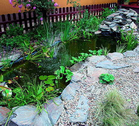 Zakładamy oczko z gotowej formy