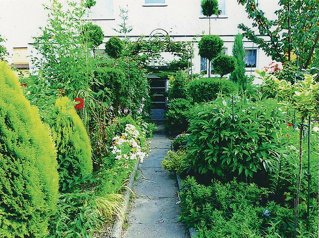 Zdjęcia i plan działki wykonała żona pana Tadeusza, Alina