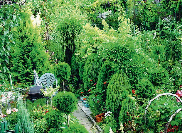 Zdjęcia i plan działki wykonała żona pana Tadeusza, Alina