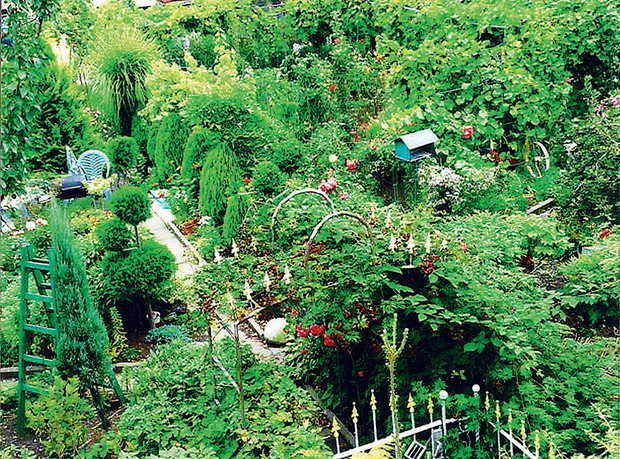 Zdjęcia i plan działki wykonała żona pana Tadeusza, Alina