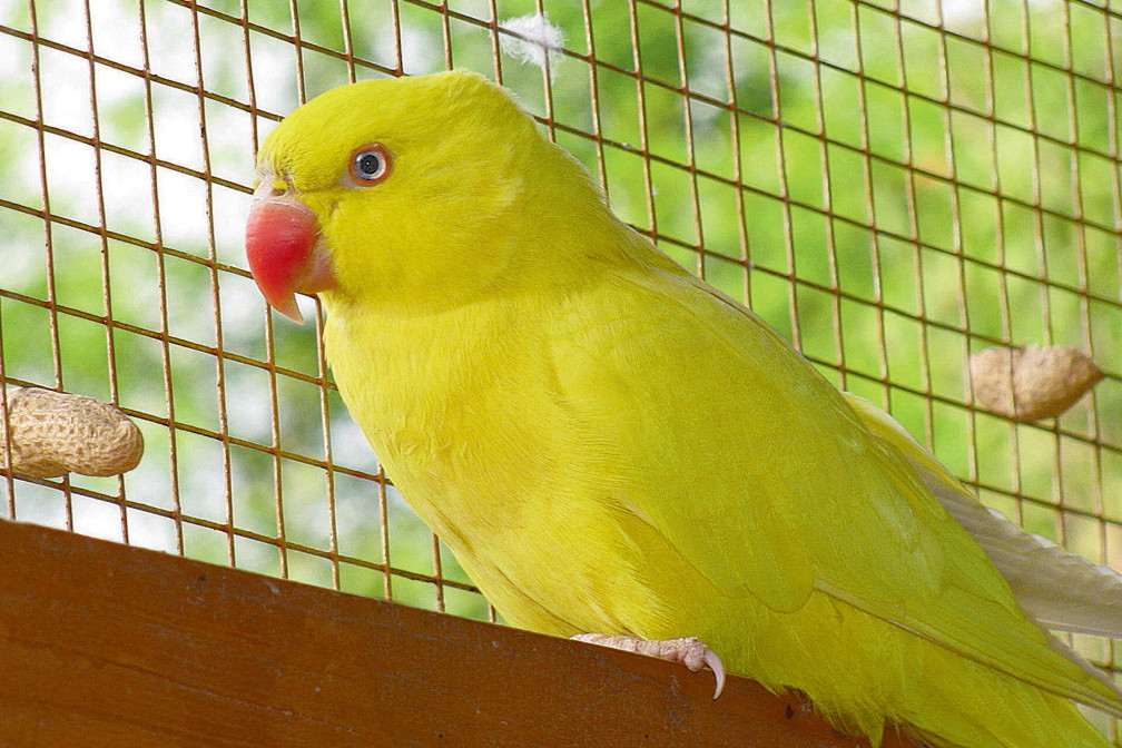 Zdjęcia: Maciej Kamiński