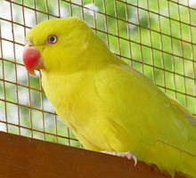 Zdjęcia: Maciej Kamiński