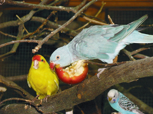 Zdjęcie nadesłał Maciej Kamiński. 