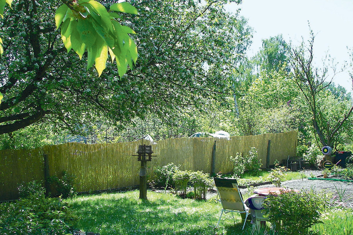 „Żywopłot rósłby wiele lat, a maty umocowałam w jeden dzień”, pisze Beata Wielgosz.