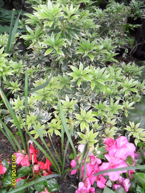 ------------------------