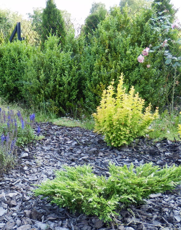 A ja rosnę i rosnę...