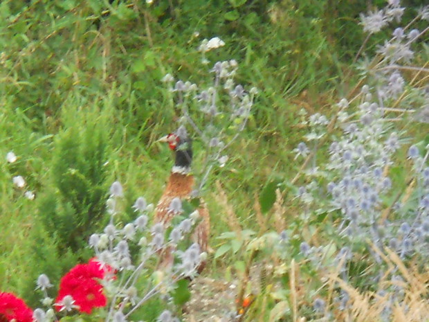 A ten Pan ma na imię Iwan. Był sprawdzić czy zimowa stołówka już jest czynna.