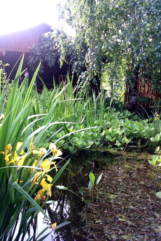 Altanka nad oczkiem wodnym. Każdą wolną chwilę spędzamy tu z rodziną i przyjaciółmi podczas grillowania i odpoczynku :)