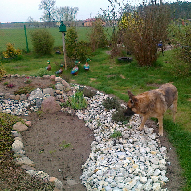 Czyżby Maja coś wypatrzyła w kamieniach.