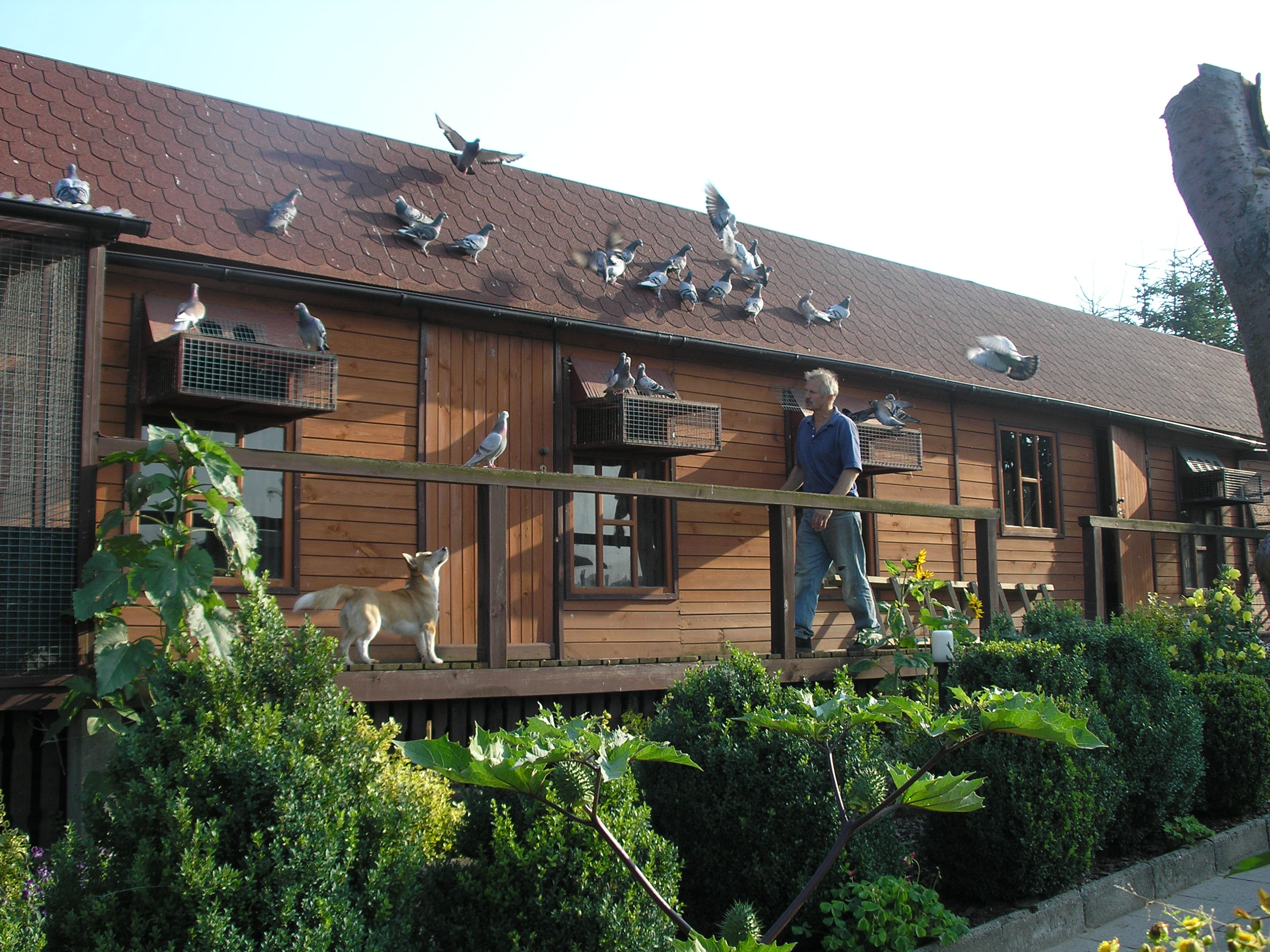 Do budowy wykorzystane zostały drewniane deski i bardzo trwałe podkłady kolejowe