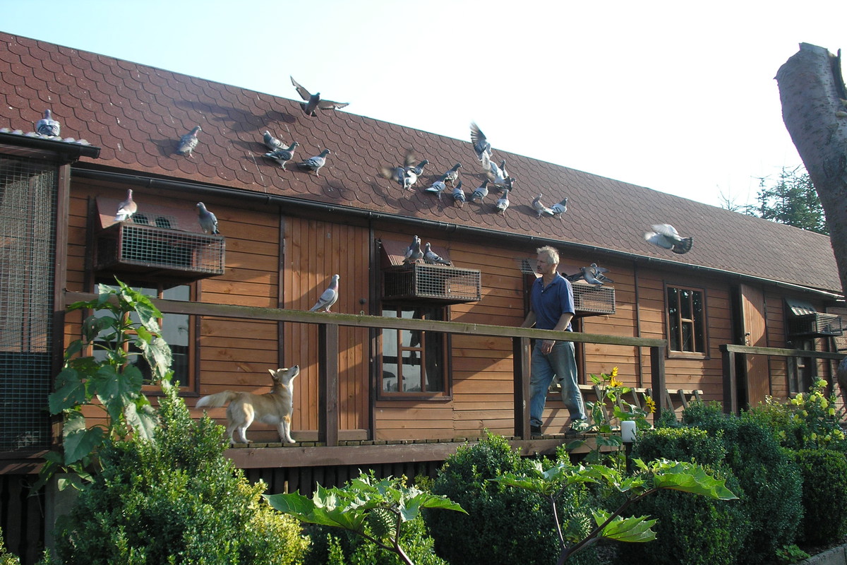 Do budowy wykorzystane zostały drewniane deski i bardzo trwałe podkłady kolejowe