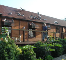 Do budowy wykorzystane zostały drewniane deski i bardzo trwałe podkłady kolejowe