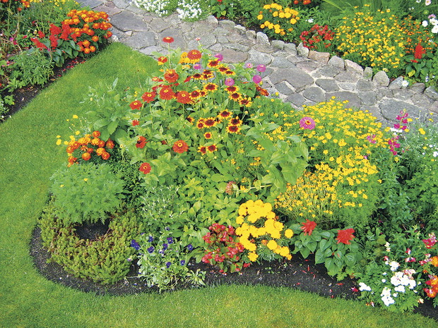 Do stworzenia atrakcyjnej rabaty nie trzeba wyszukanych gatunków. Wystarczą popularne gajlardie, cynie, szałwie czy aksamitki