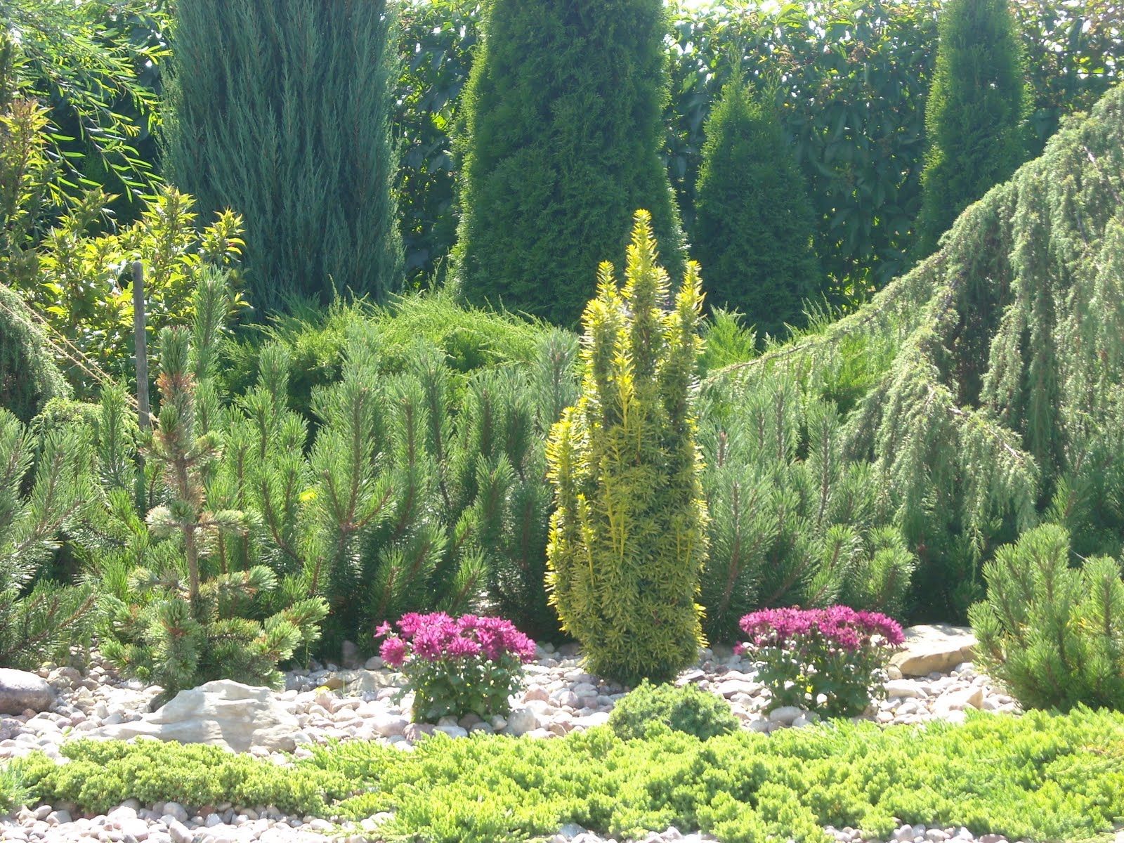 Drobne kamienie i otoczaki doskonale hamują rozrost uciążliwych chwastów