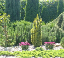 Drobne kamienie i otoczaki doskonale hamują rozrost uciążliwych chwastów