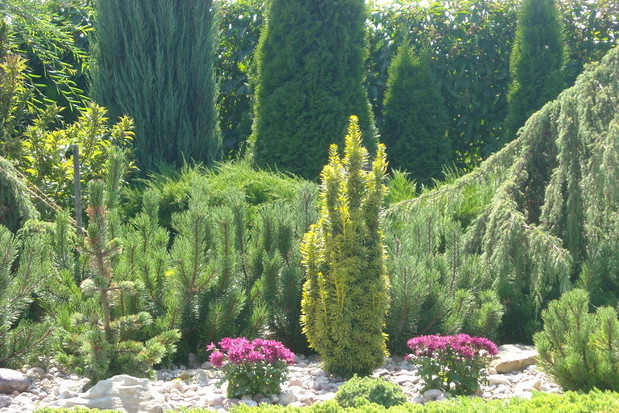 Drobne kamienie i otoczaki doskonale hamują rozrost uciążliwych chwastów