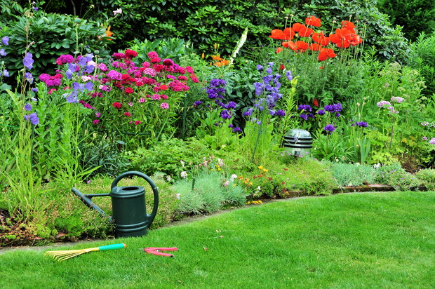 Dzwonki brzoskwiniolistne w towarzystwie m.in. maków i goździków 