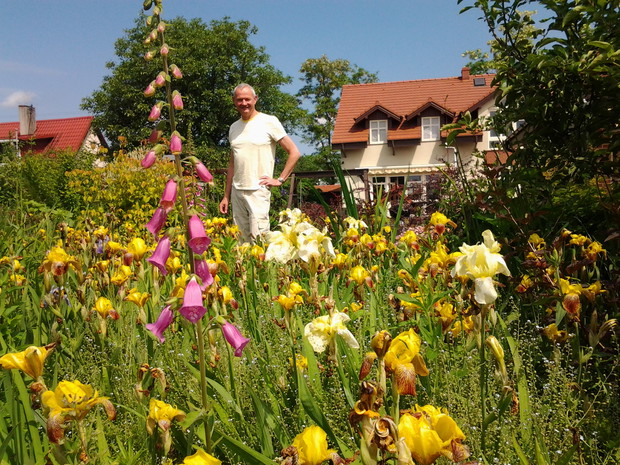 Dzwony żegnają irysy