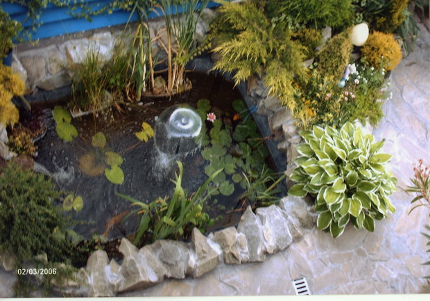 Fontanna upiększa, ale też dotlenia wodę.